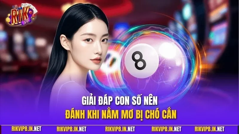 Giải đáp con số nên đánh khi nằm mơ bị chó cắn