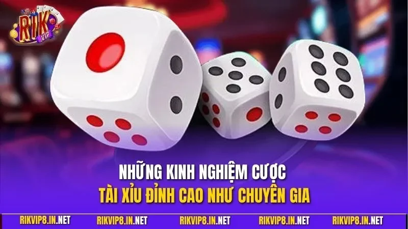 Những kinh nghiệm cược tài xỉu đỉnh cao như chuyên gia
