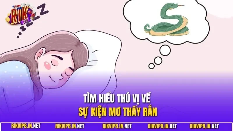 Tìm hiểu thú vị về sự kiện mơ thấy rắn