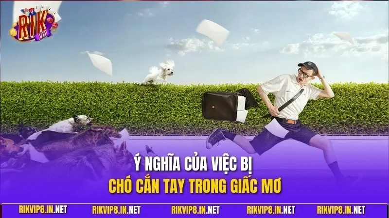 Ý nghĩa của việc bị chó cắn tay trong giấc mơ